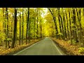 Scenic Fall Color Drive with Peaceful Music | Fall Foliage in the Tunnel of Trees, Northern Michigan