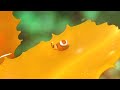 ３月15日　ダンゴウオ幼魚　南越前ダイビングパーク