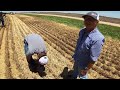 Kansas Wheat Harvest 2024 Pt.2 Days (4-6)