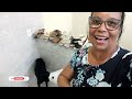 Compras pra Dudinha #QuartaVlog 2024 | Pr Heloisa de Jesus