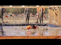 Tough Mudder promo