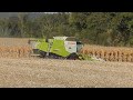 Moisson autonne  2023 Claas lexion 660