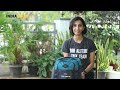 Decathlon Trekking Bag Review: Quechua NH Escape 23L 500 Backpack | Indiahikes | Trek With Swathi