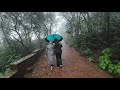 Matheran in Monsoon  ( Aug 2023)