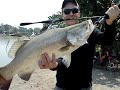 Barramundi Fishing Boon Mar Ponds Bangkok