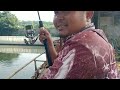 Belajar Mancing ikan Mas Pakai Reel Shimano Stradic|| PMC Telaga Syifa curug gunung sindur