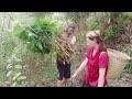 The girl who went to get a pig's beard was helped in rural life