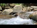 Fantastic Nature Melodies, River Flowing Sounds, ASMR