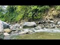 Natural Sound of Forest Water Flow. Relaxing Flow Sounds/ Sleep/ Meditation/ Yoga/ 1 hour.