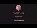 BLACKPINK - 'FOREVER YOUNG' Perfect Loop (5 Minute Snippet)