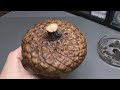 Large Decorative Acorn made of Polymer Clay