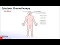 Principles of Cytotoxic Chemotherapy
