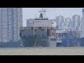 Fascinating Ship Spotting: Witness Container Giants Up Close