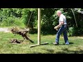 Pulling stump - 1