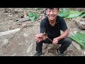 About today mukbang in eating pork (Angangba forest in Nagaland )