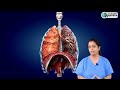 Animation: Lungs Detox at Home | Immediate Relief | நுரையீரலை வீட்டிலேயே சுத்தப்படுத்த 7 எளிய வழிகள்