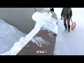 Heavy snow makes the zoo hard! Polar bears were delighted