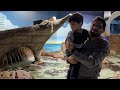 Exploring Aquarium | Sea Quest 🌊 | Best Aquarium 2024 |