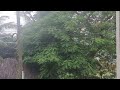 Rain video