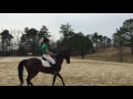 Fly Training 3 schooling vid 4