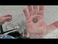 Metal Detecting after Tropical Storm Debbie .Alien implant? You be the judge but probably not.