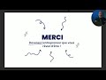 Pourquoi tu dois ABSOLUMENT créer une HOLDING avant 40 ans ?