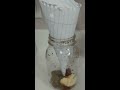 Easy Hack to get rid of Fruit Flies and Gnats