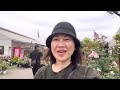 🇯🇵Tham Quan Vườn Bán Cây Giống Hoa Hồng | Hanazono Rose Garden #cuocsongnhatban #259