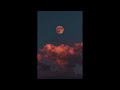 8 Hour Ambient Nighttime Sounds for Sleep / Relaxing