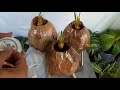 CARA MEMBUAT BONSAI KELAPA ORIGINAL||HOW TO MAKE ORIGINAL COCONUT BONSAI