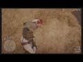 Cleansing Armadillo of the sick people (Red Dead Redemption 2)