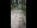 Walking In The Park 3 (Sweden)
