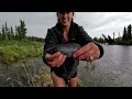 Dipnetting Alaska's Sockeye Salmon | Roadside Fishing for Grayling