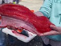 July 2024 Kenai River Salmon