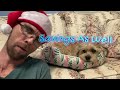 Creative Ranting Vlogmas #americanpatriotanomad #Vlogmas