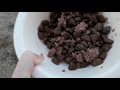 My dog eats Apollo dry & wet dog food