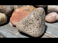 'AMAZING' Cold Water Agate Find Rock Hunting Along The Shores of Lake Michigan #epic #rare #agate