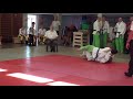 Fast Judo Fight #25-beginner
