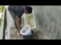 A Close Look at the Hatchery and Raising of Tilapia Fish