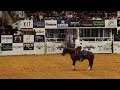 2023 Snaffle Bit Futurity Champions Reysmhigh & Corey Cushing *Fence Run*