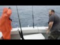 dolphin fishing