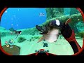 All 5 Cuddlefish Eggs Locations in Subnautica — Easy to Follow — Where to Find Cuddlefish