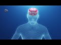 This Is What Happens To Your Pineal Gland EVERY NIGHT (Secret Knowledge)