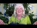 An Easy Way to Read Your Birth Chart with Alison Chester-Lambert