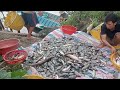 MỜI CẢ NHÀ XEM TIẾP VIDEO CỦA NGƯỜI MIỀN TÂY THUỐC CÁ VUÔN TÔM ☺️👍👍🐟🐟🐟