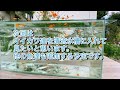 【Tank hut】Clear stream tank (1) 2 meter tank for freshwater fish has been launched!
