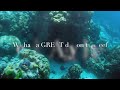 FNQ Finale -  Reef Snorkeling