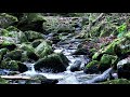 Vintage amazing water flow sound copyright free for background and pleasant mind