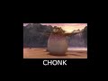 CHONK