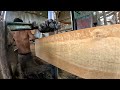 #the large pine sawing process for production of slab board